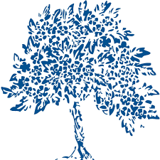 Denmark Road High School logo